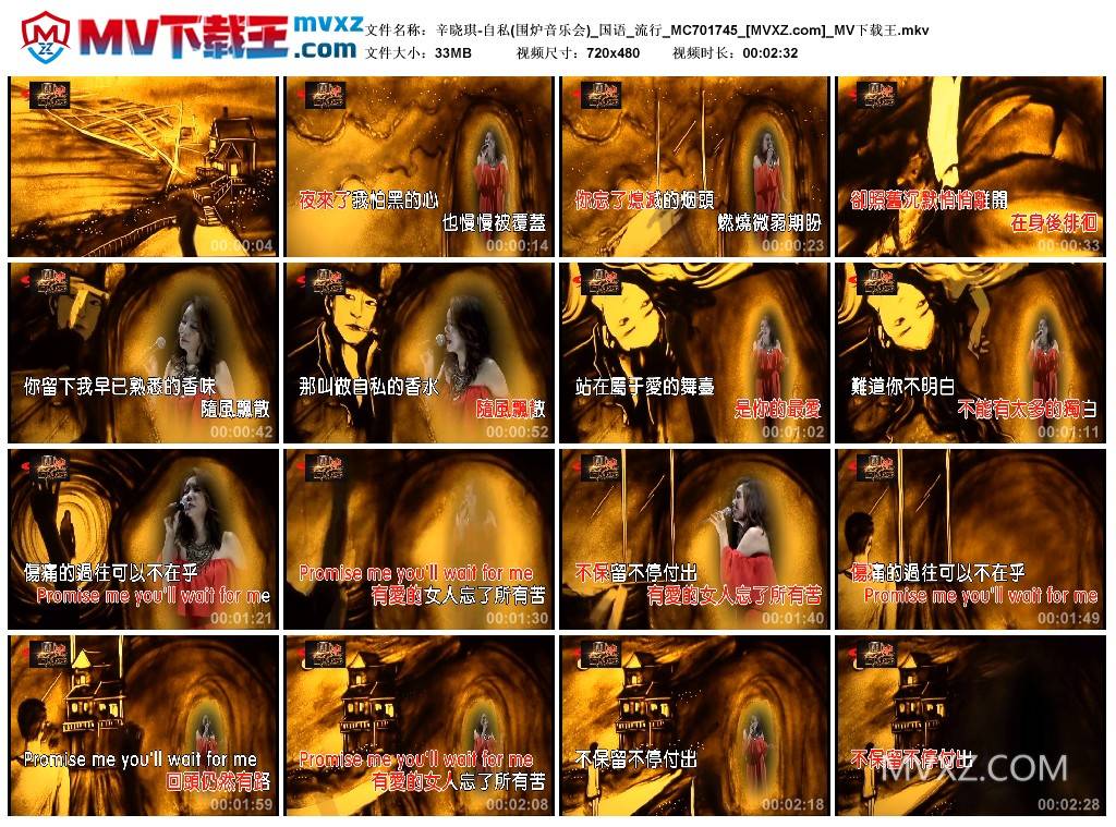 辛晓琪-自私(围炉音乐会)_国语_流行_MC701745